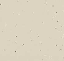 Линолеум Forbo Sphera Energetic 50221 linen фото 1 | FLOORDEALER